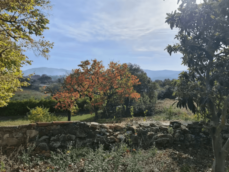 canvas 9