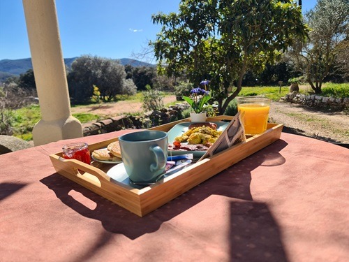 Petit dej américain 2 site